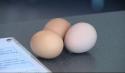 Hoe zie je het verschil tussen een ei al of niet gekookt
